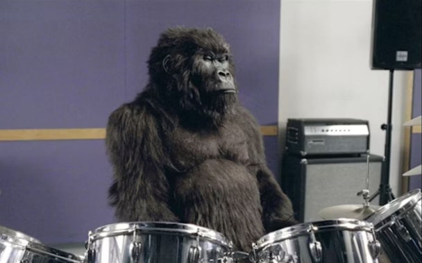 Cadbury's drumming gorilla Cadbury's drumming gorilla