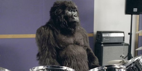 Cadbury's drumming gorilla Cadbury's drumming gorilla