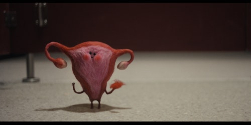 Felt uterus Felt uterus