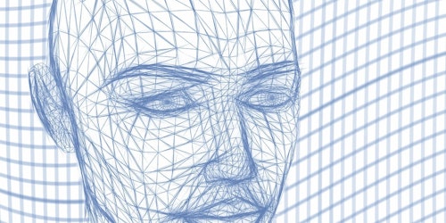 A human head forms from grid lines A human head forms from grid lines