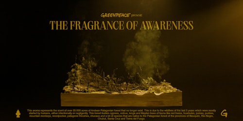 Greenpeace - 01 Greenpeace - 01